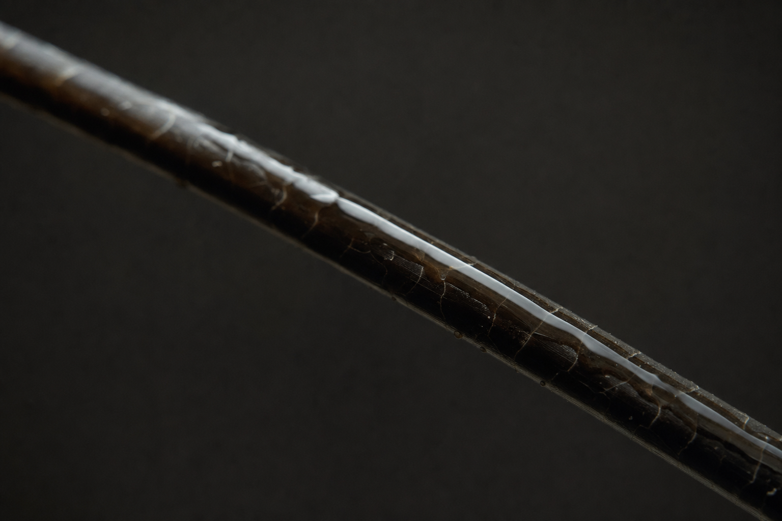 Macro of serum absorbing into a hair fibre, product penetration and porosity.