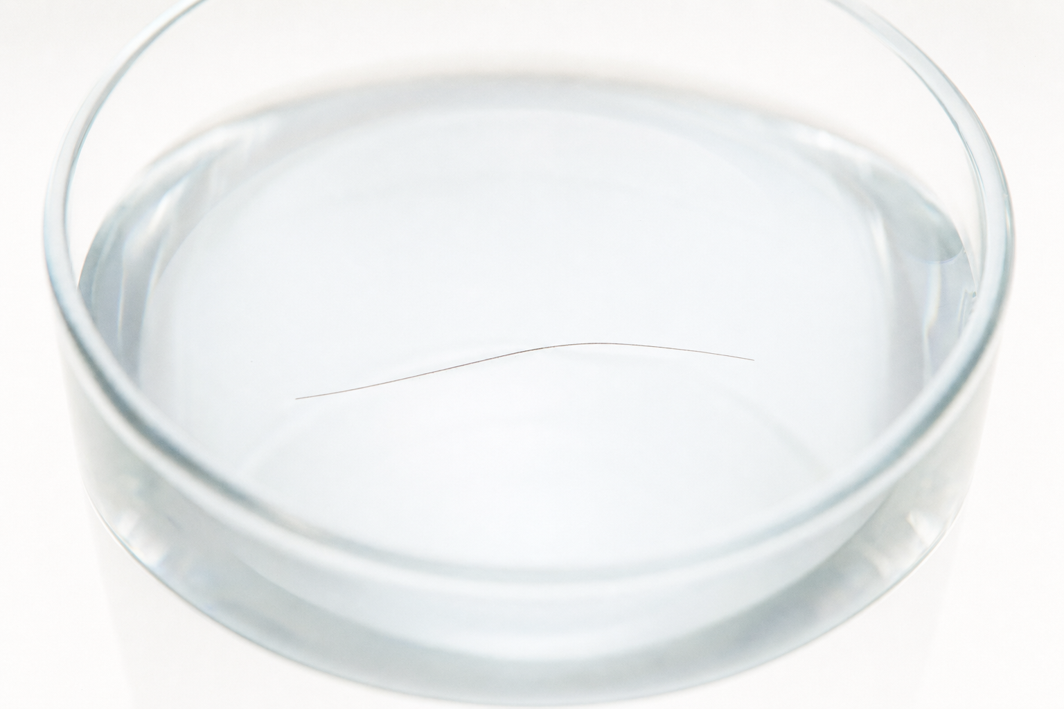 A hair strand floating on water in a glass, a hair porosity test.