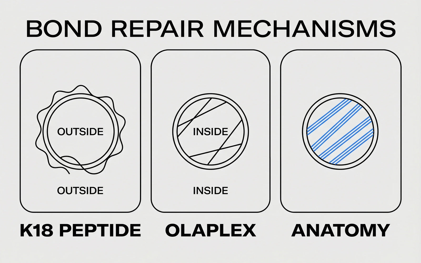 Three-panel illustration comparing the three bond-repair mechanisms: K18 peptide affinity, Olaplex Michael addition, ANATOMY thiol-yne bis-adduct.