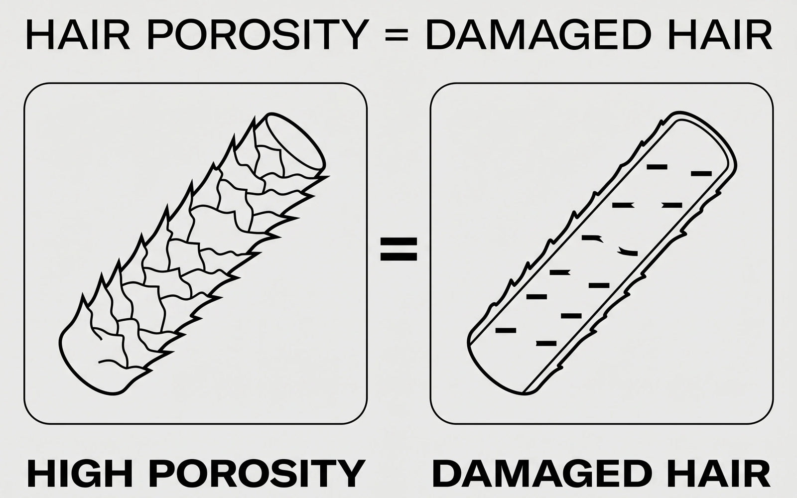 Two-panel illustration showing the equivalence: HIGH POROSITY (surface) and DAMAGED HAIR (structure) describing the same fibre.
