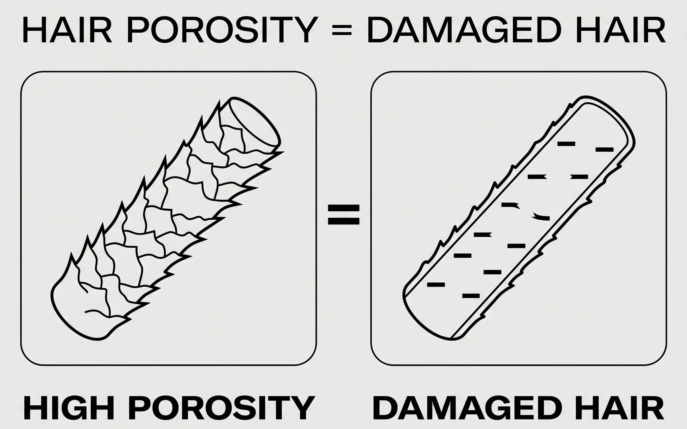 Two-panel illustration showing the equivalence: HIGH POROSITY (surface) and DAMAGED HAIR (structure) describing the same fibre.
