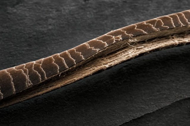 A hair fibre split to show cuticle and cortex, cuticle versus cortex damage.