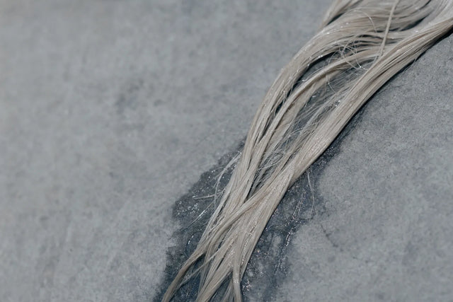 A limp wet over-processed blonde lock, gummy bleached hair.