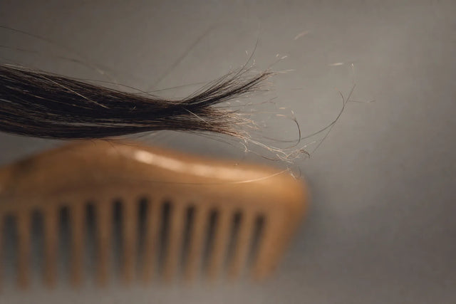 A lock mid-snap with broken strands near a comb, hair breakage when brushing.
