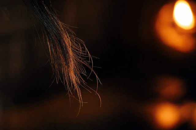 A scorched hair tip near a warm glow, heat damaged hair structure.