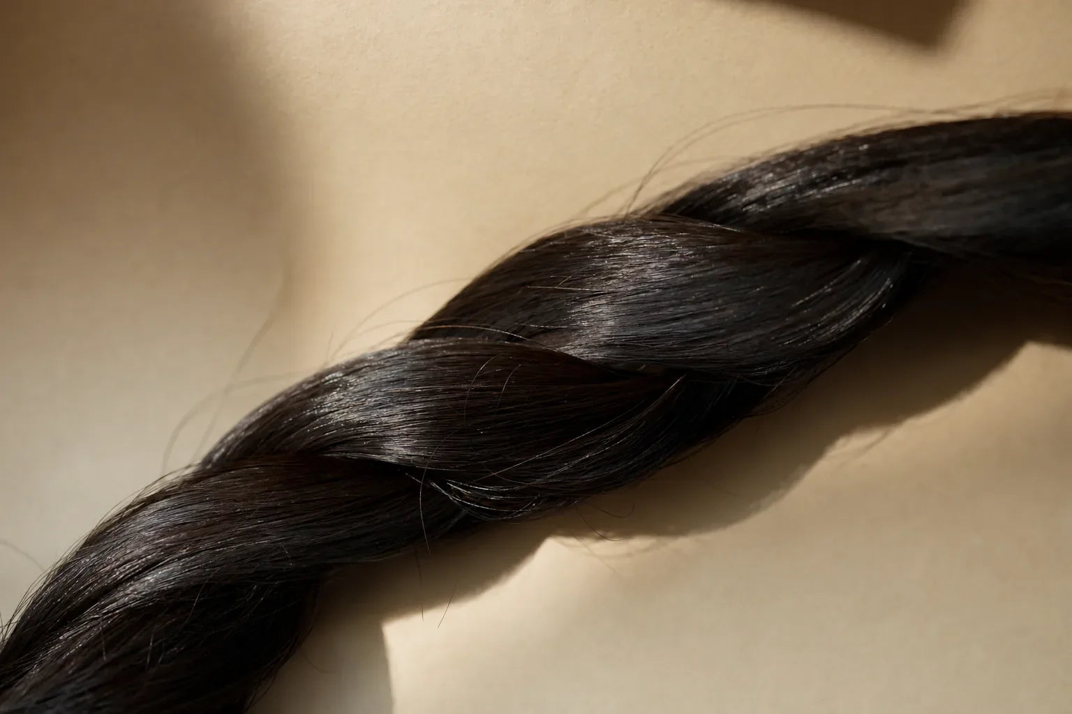 A glossy twisted rope of hair like a protein cable, keratin.