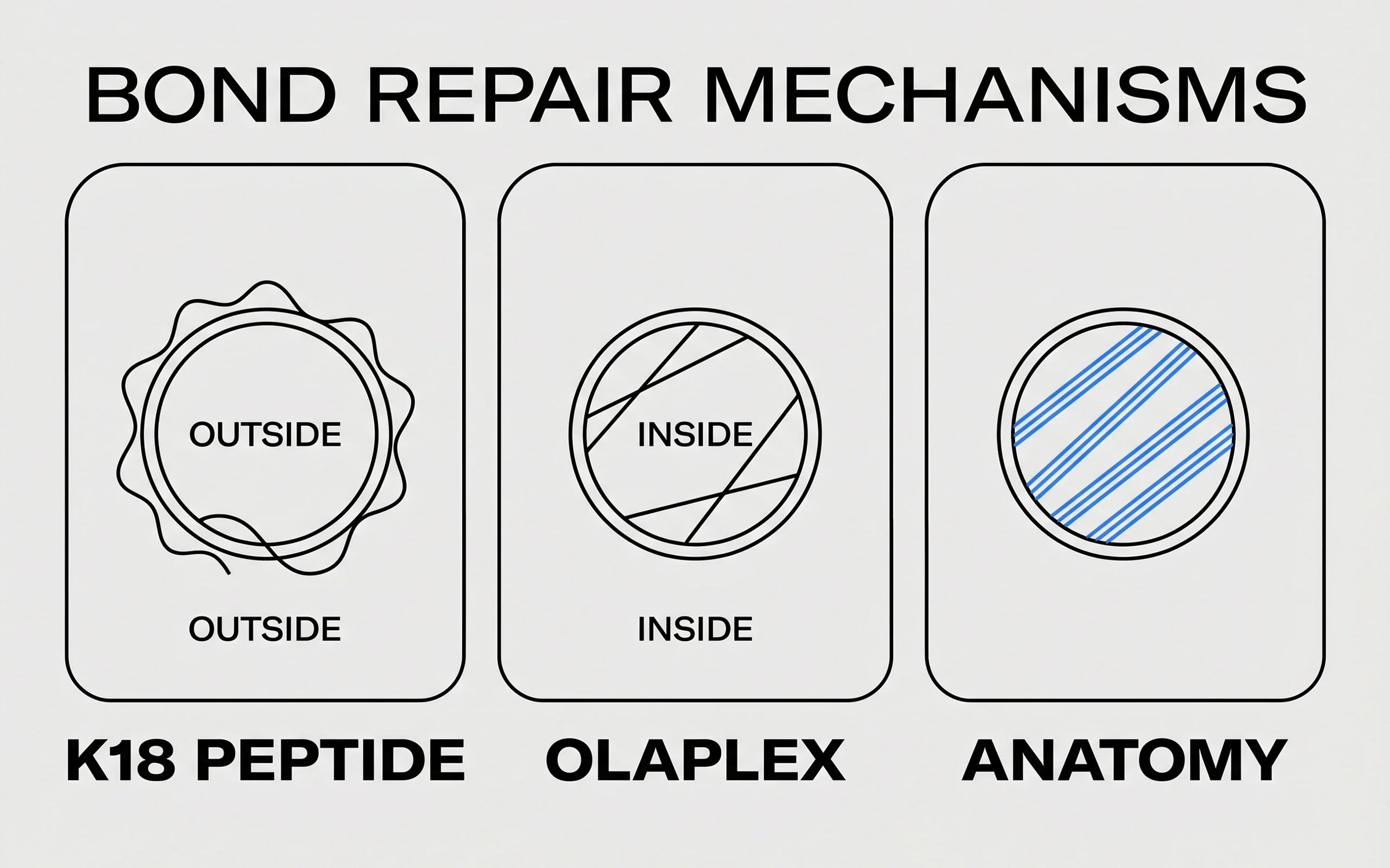 Three-panel illustration comparing the three bond-repair mechanisms: K18 peptide affinity, Olaplex Michael addition, ANATOMY thiol-yne bis-adduct.