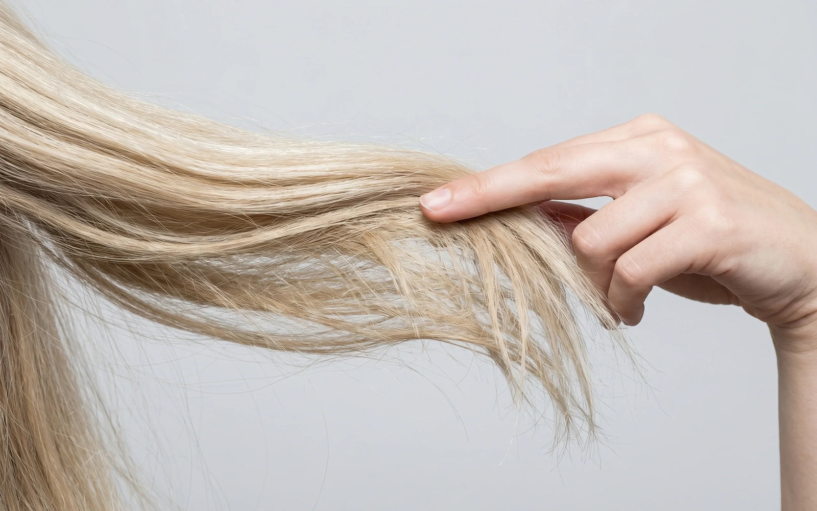 Editorial lifestyle photograph of a woman's hand separating a strand of bleached-blond hair, contrasting healthy root and damaged dry ends.