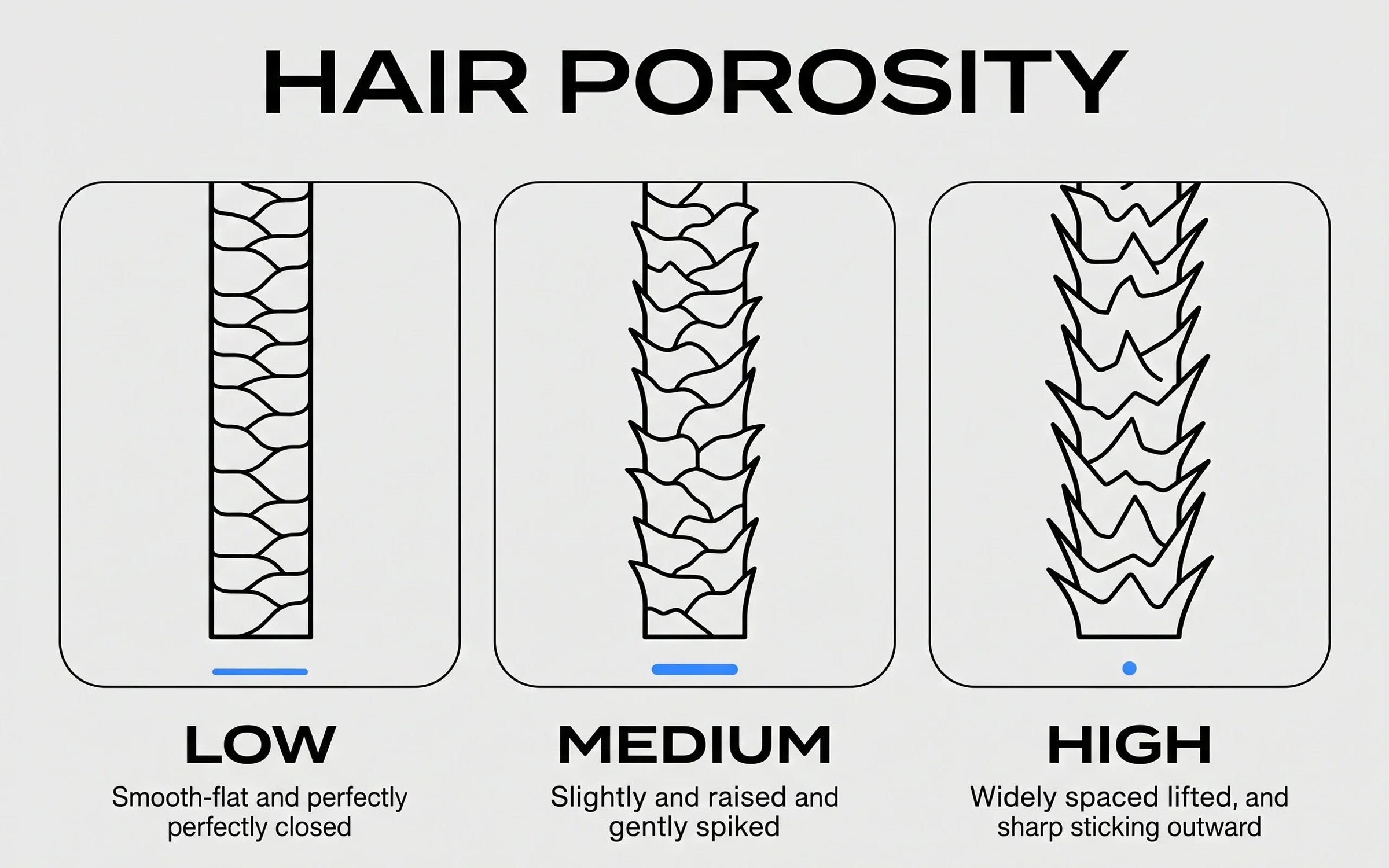 Three-panel scientific illustration showing LOW, MEDIUM, and HIGH hair porosity — each panel depicts a hair fiber with progressively more lifted cuticle scales.