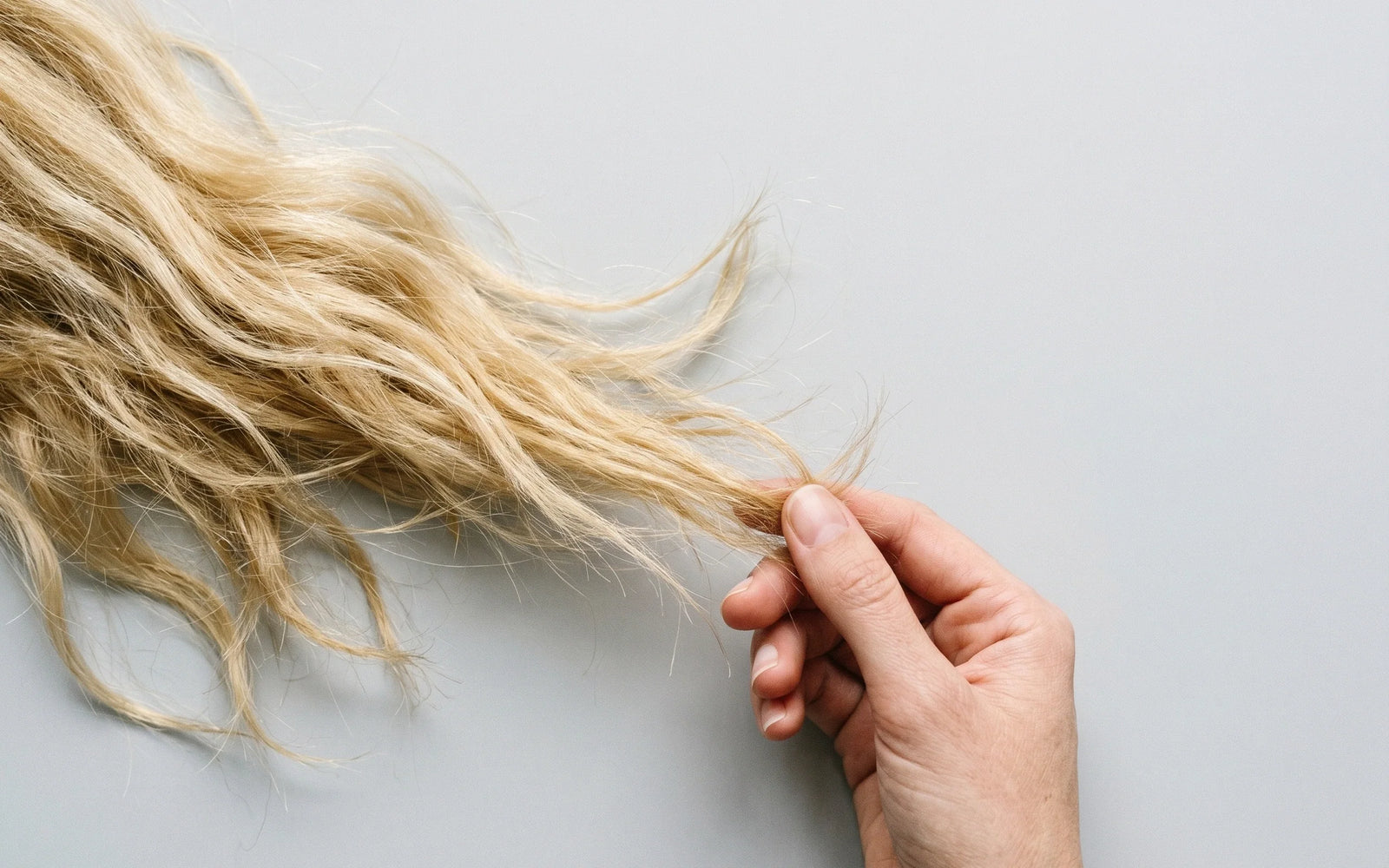 Editorial lifestyle photograph of a woman's hand holding bleached-blond hair against a white background, showing texture and damage at the ends.