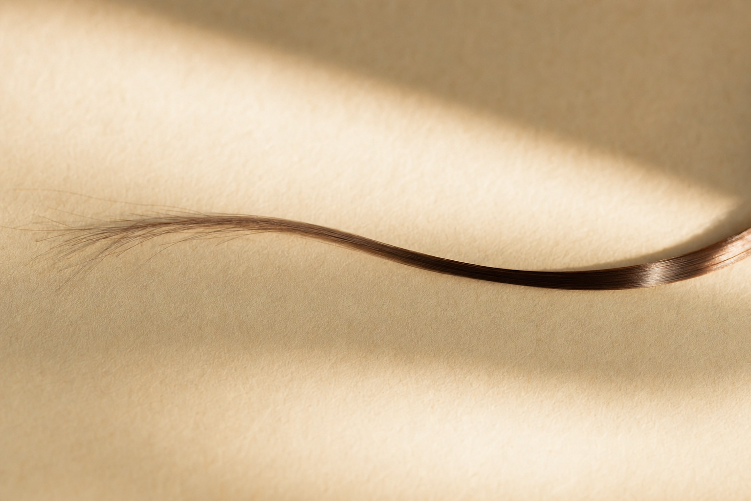 A lock transitioning dry to glossy, protein moisture balance.