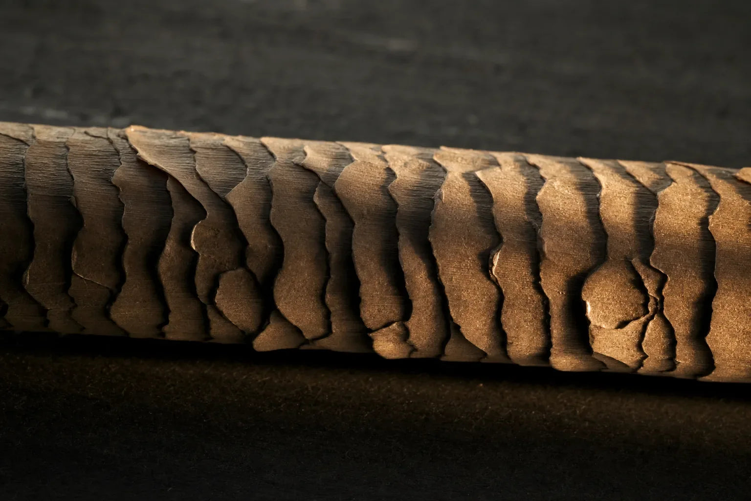 Macro of overlapping cuticle scales on a hair fibre, the hair cuticle.