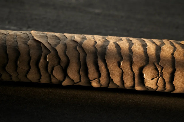 Macro of overlapping cuticle scales on a hair fibre, the hair cuticle.