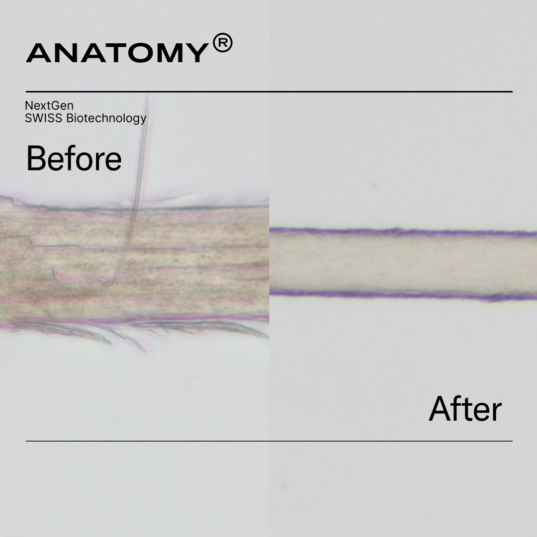Hair fiber before and after ANATOMY under the microscope — frayed, damaged cuticle versus a smooth, sealed, reconstructed fiber